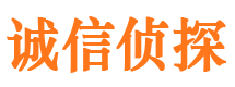 西市私家调查公司